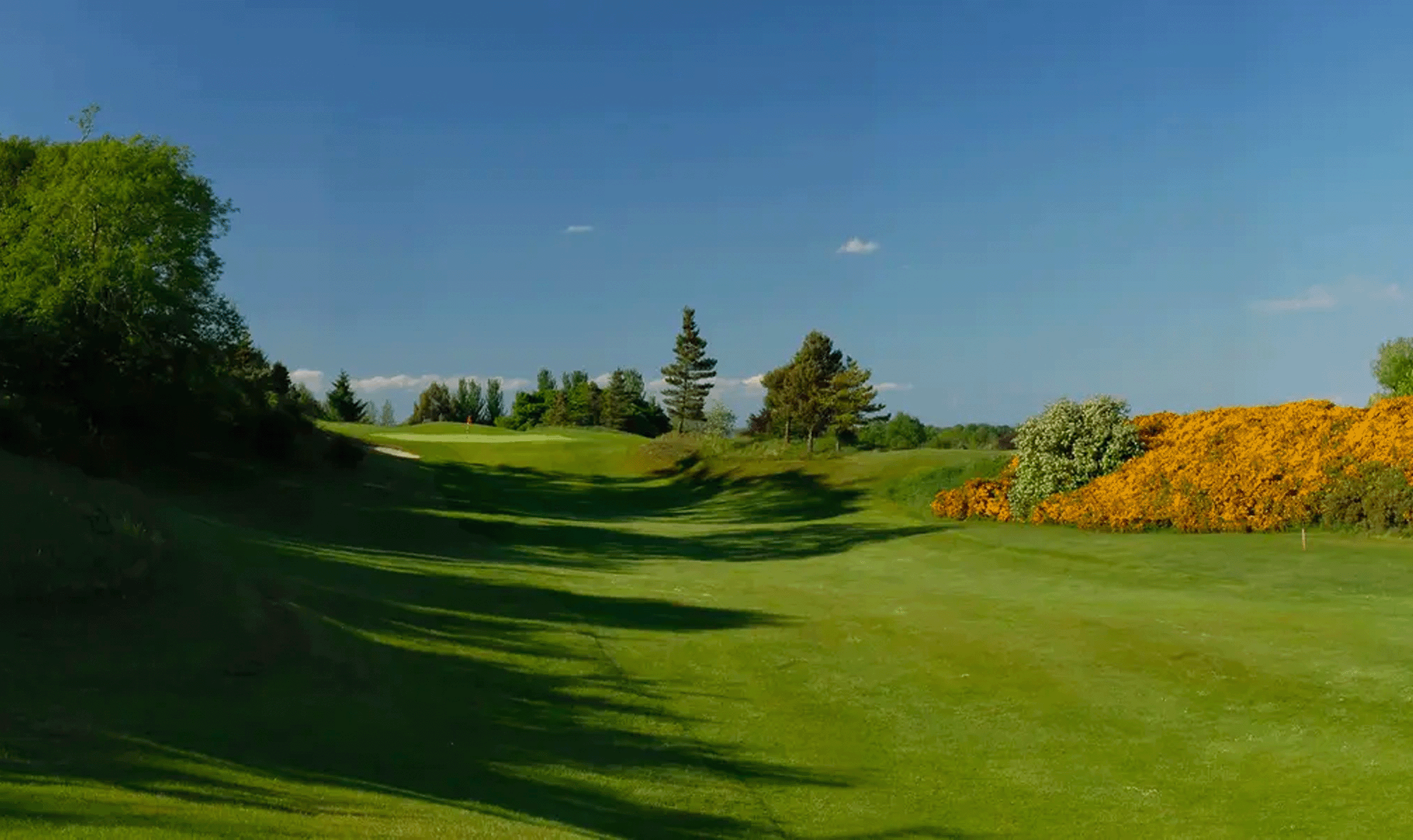 Welcome - Ballinasloe Golf Club